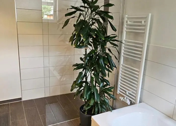 Andres * كوتبوس